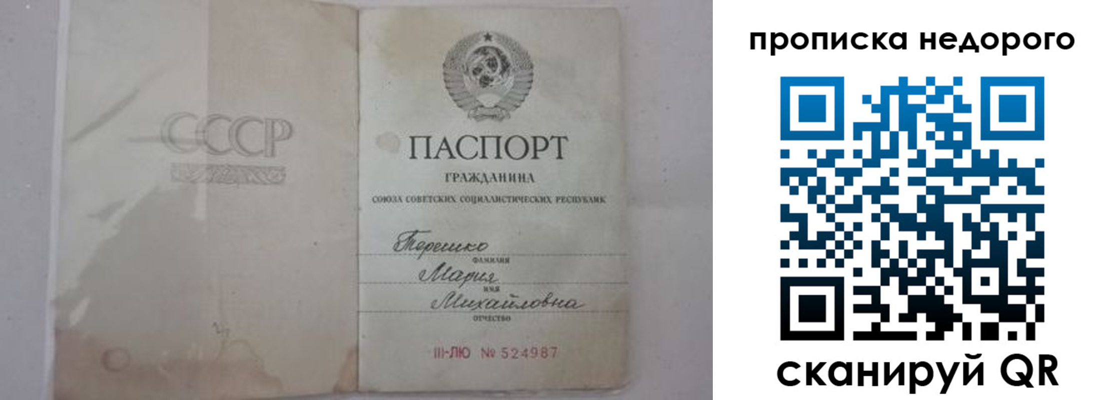 где прописаться в Лузе